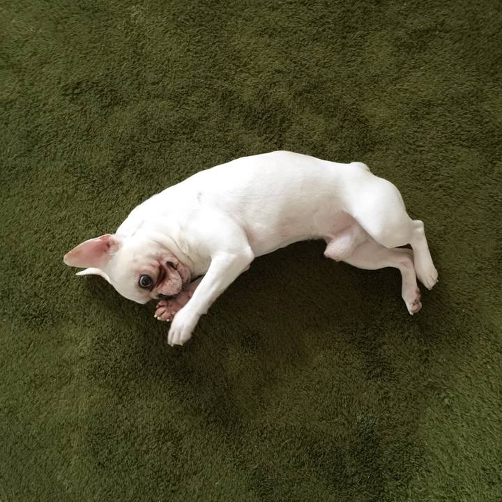 97a4018a 3561 46eb a68f e05072b484ca