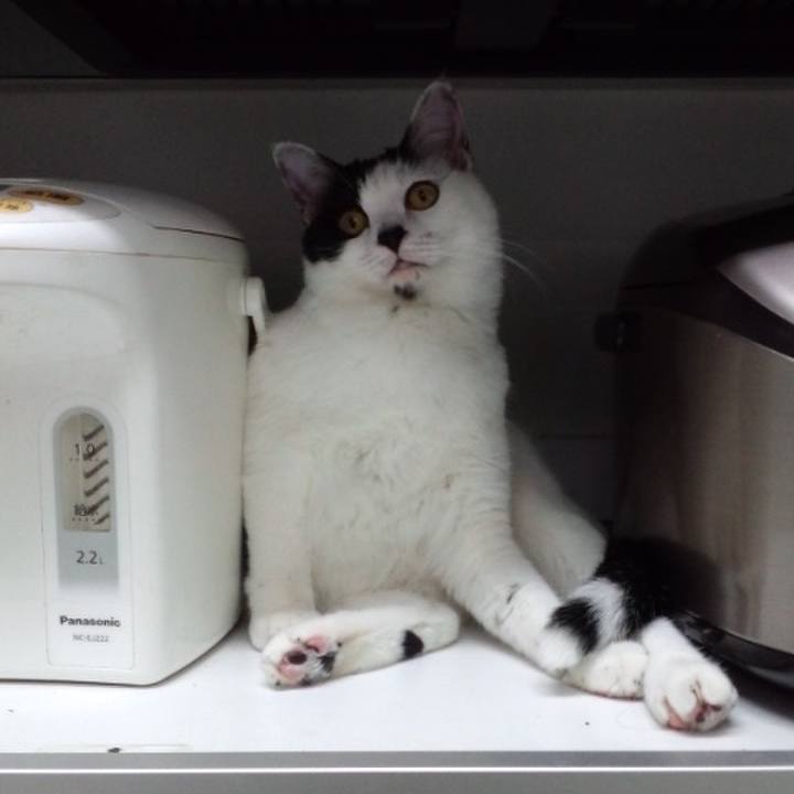 97a415d5 bf46 4bbe 8352 bc4108bc601a