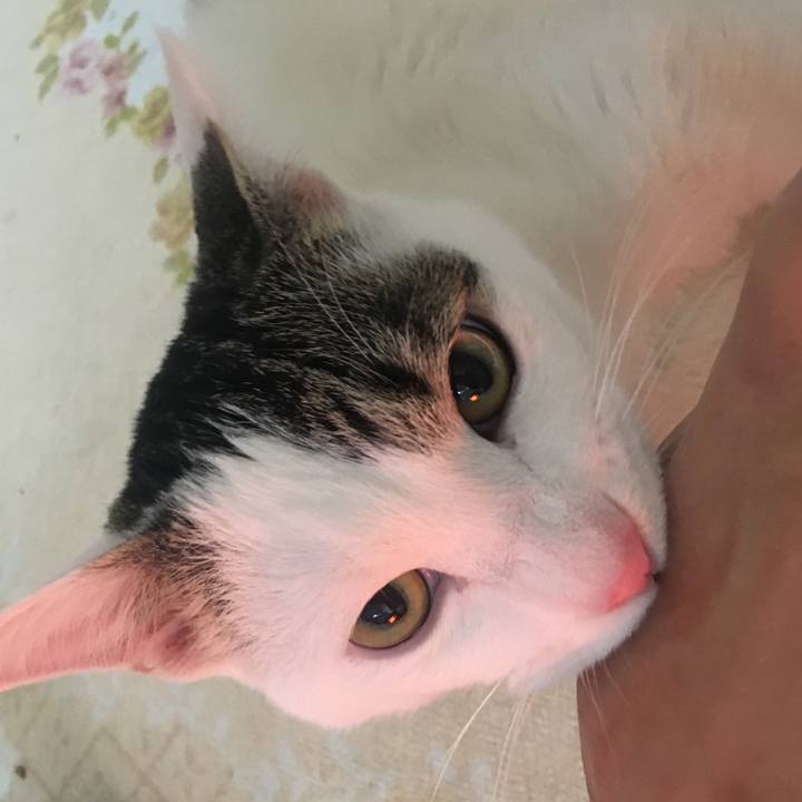 97a42b6b 26c8 49b3 89ad a565baf03e52