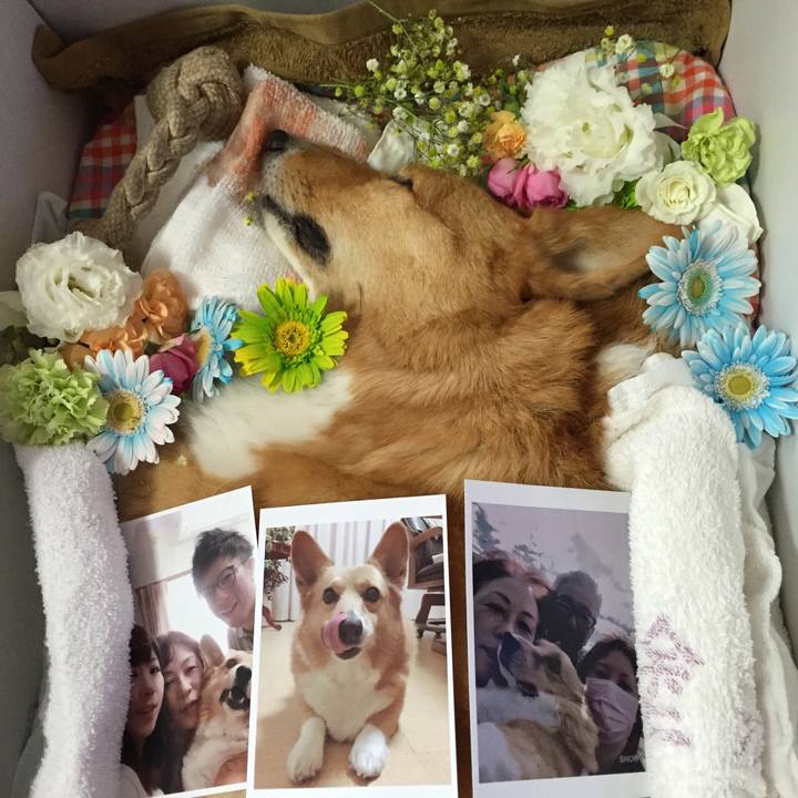 97a434df 8b6a 4e76 8b2d 2607e2e20546