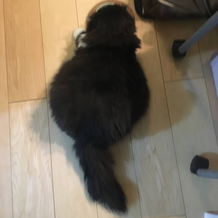 97a52913 b24d 4ef1 8475 8138d2f4d3ed