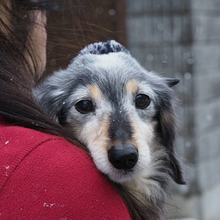 97a5b2b8 2e81 409c b502 547905ca6eba