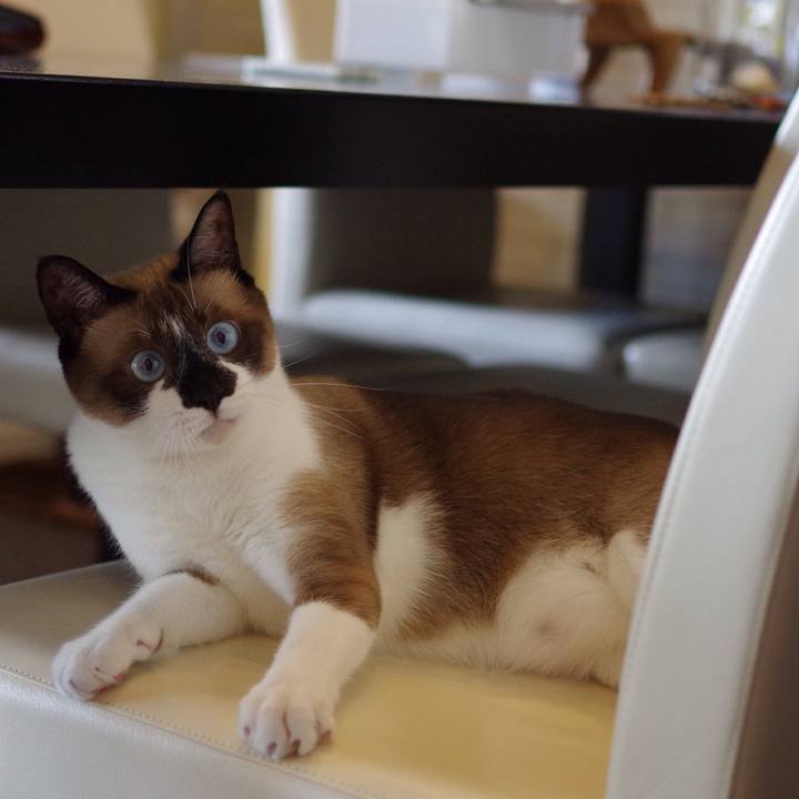 97a5d984 d02b 4cde 83d4 77ba9c8d23ea