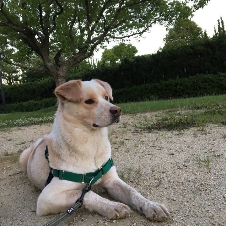 97a654d4 41ba 4183 8515 a6b3c7fc7f79