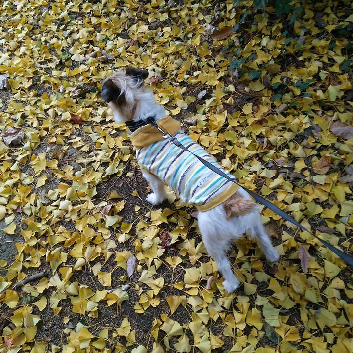 97a693b4 f381 4e12 8c8d 098508bf3391