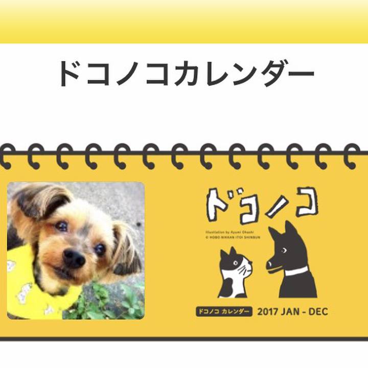 97a6e283 ff6a 4084 ac98 0aefed67b698