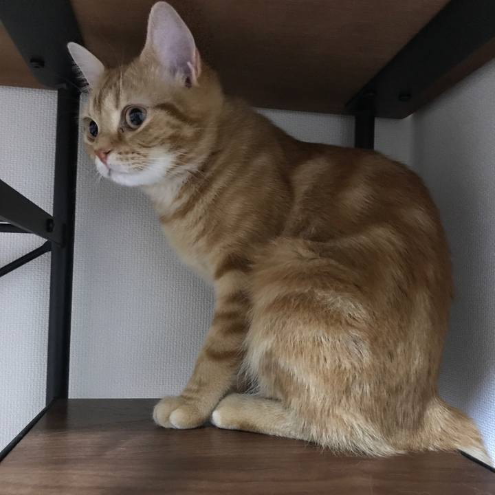 97a708ce 9e5b 4b61 b104 a7ae2ec84a8d