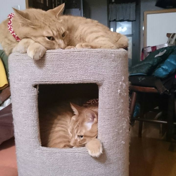 97a773ff 400b 48bb af20 8f3b0c8d1d36