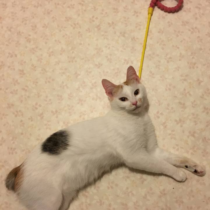 97a8175b 0d8a 4dda b92a 43b77a541d88