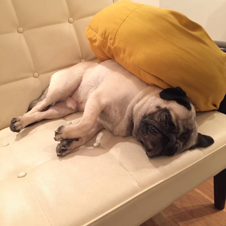 97a9529f 7c87 4ad7 b2c0 b208d0198dec