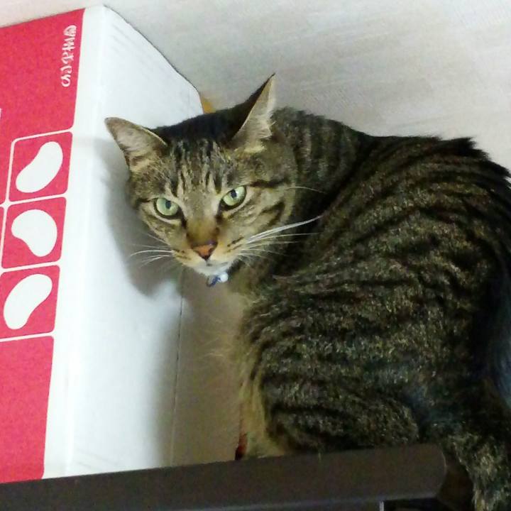 97a97b00 350c 4a08 9e59 eac04e470ee3