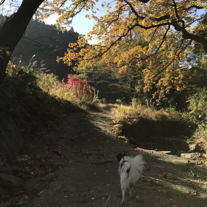 97a9d97d ff50 43be 8f3b a5b9f793e662