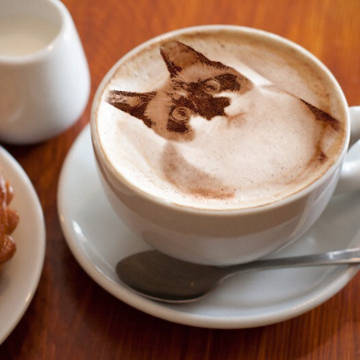 97aa8a12 5380 4af0 9c2c 505e5f76413c