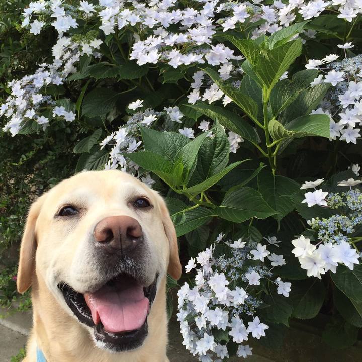 97aa9282 7f4a 4f4a 837d b34509ed694d