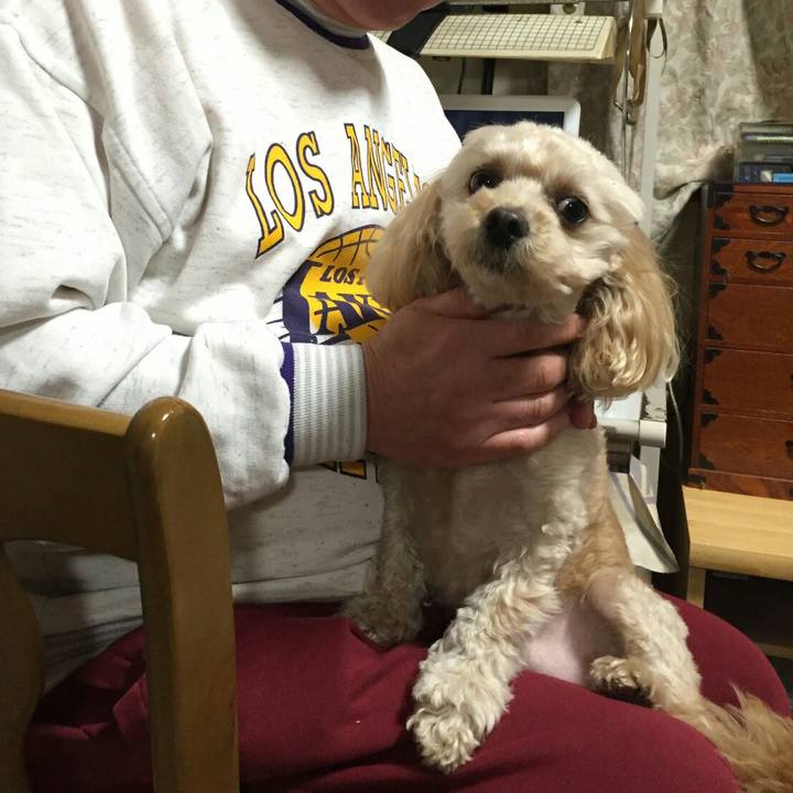 97aa95cb 2f75 45c9 a3db a301b0c890b0