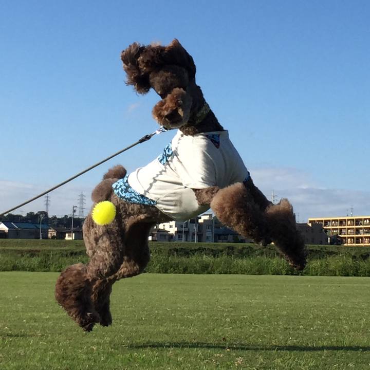 97ab3627 e012 4652 8d5d a7db67cfa10c