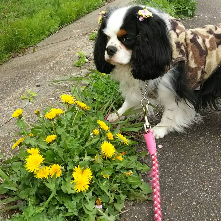 97ab4d01 fc54 47b2 8f0d 66bd0f12c0fa