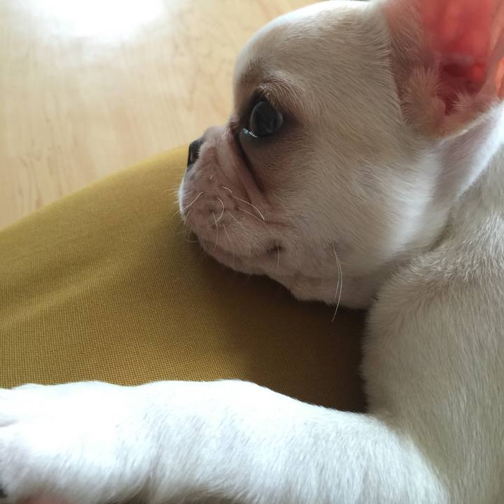 97ab6c56 d57c 4f16 bbc0 c7dbf434944d