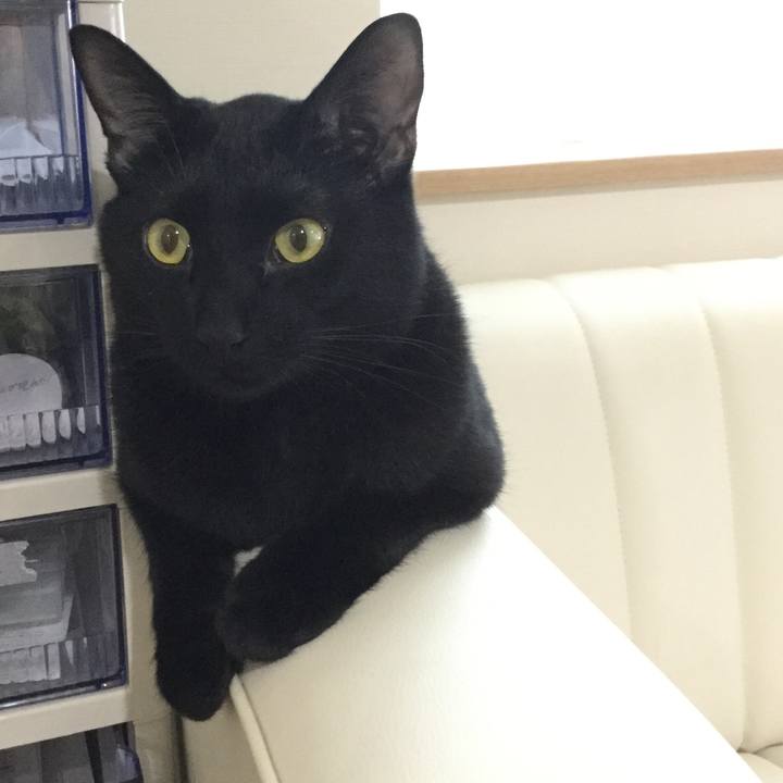 97ac44b1 5d57 494d b500 637866b4423e