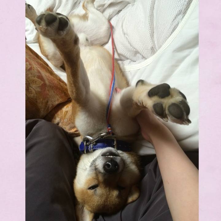 97ac5876 d716 458b aa32 e531f9cc3f14