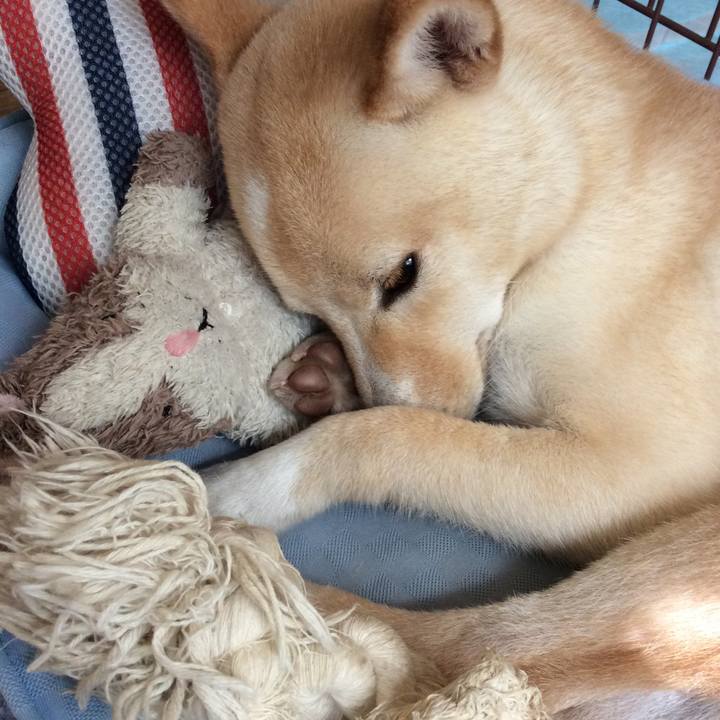 97acc854 2ffa 4eaf bdfc 50f382a8e58a