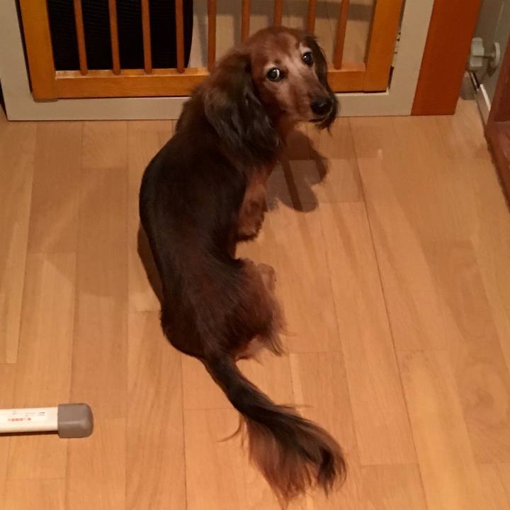 97ad8003 ff01 4de1 936e 88d01f013420