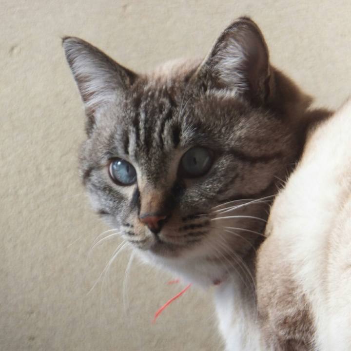 97adf427 96b3 495d 930b b1daf17457d2