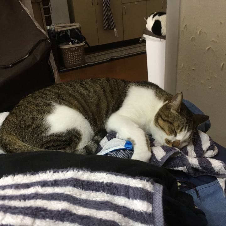 97aee551 05c4 46f1 9639 be0525c3ade8