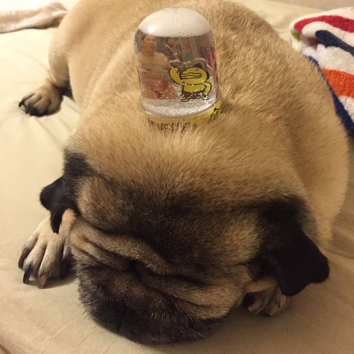 97af0ee0 bc1a 4382 9e53 da54f52034b1