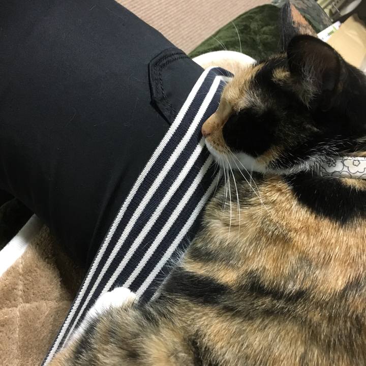 97b00694 b098 4f84 ba48 8991b70f5475