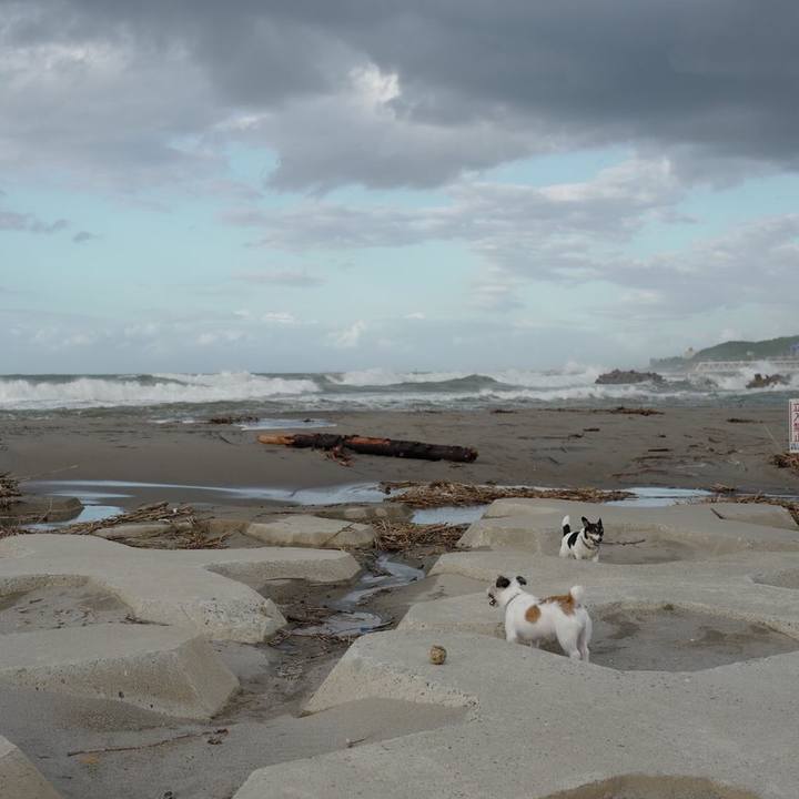 97b00c29 3895 4c94 a400 2b9b5e3a7bc2