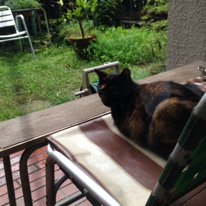 97b03464 dccd 4a76 a7ec 4b0164b55fda