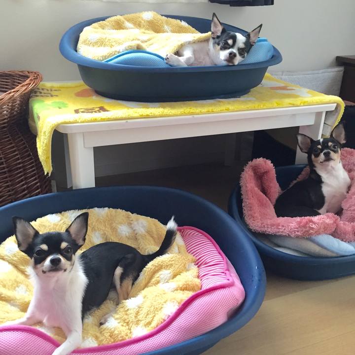 97b041ef 38c9 45f0 843b 5a646b7befba