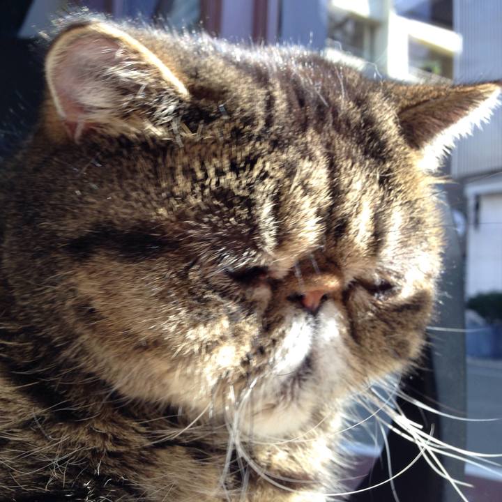 97b135ae c378 42d0 9091 bb5c35583744