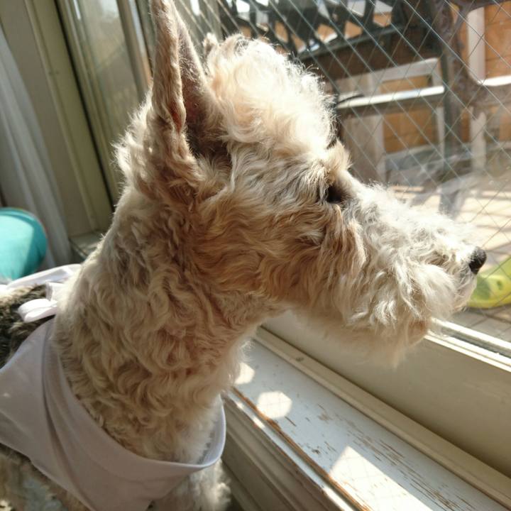 97b152b6 7e71 470c afc2 196bb944e26e