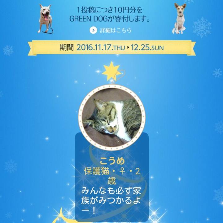 97b2d3f5 55c0 461d 914c 6dd76c7c900c