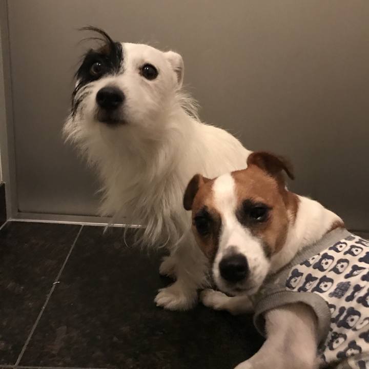 97b30590 09ba 49e3 8047 0253a44eb2ce