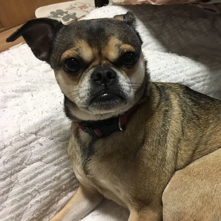 97b43482 0ea9 4533 9f6a 1e939e410550