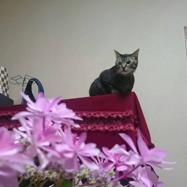 97b44302 f00e 4be0 b09c f11e8c01ee69