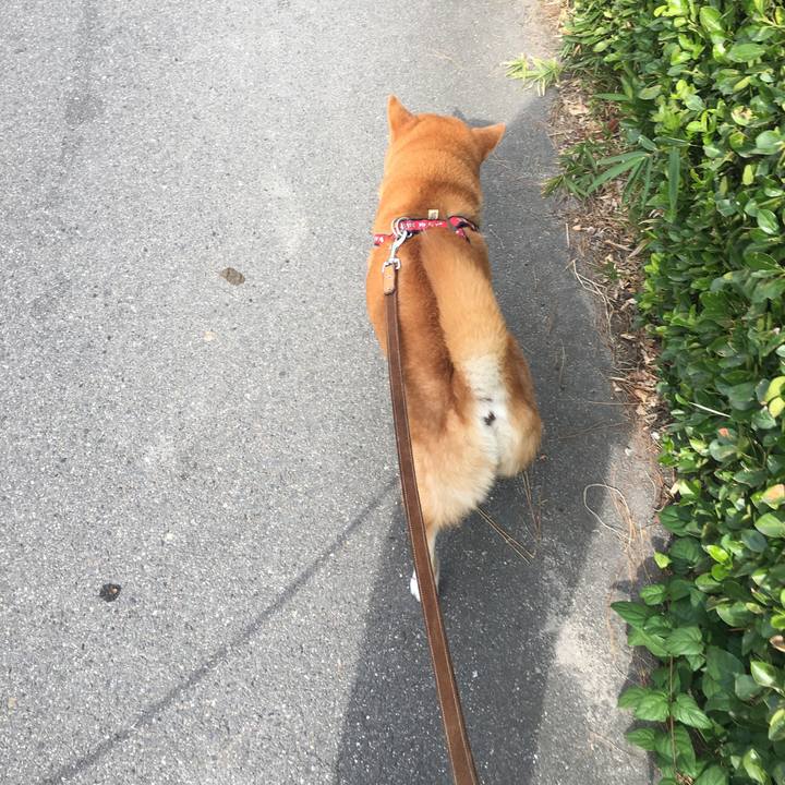 97b5028f 08b9 47aa ad74 c1866fa95c7f