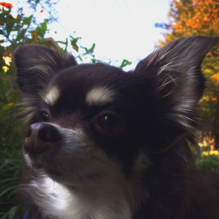 97b541d7 236e 43b5 934d 933c592cb039