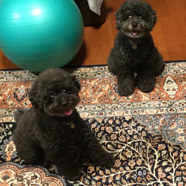 97b54ce7 fce2 4746 9e3c 52cc441d5ffd