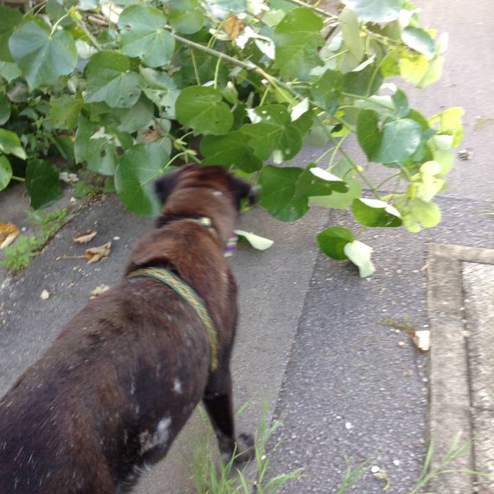 97b59acd f242 4af7 8572 2953591b8848