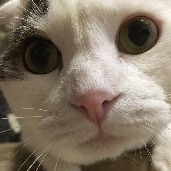 97b613db d5aa 4815 ad1a 96a34ad7f1ba