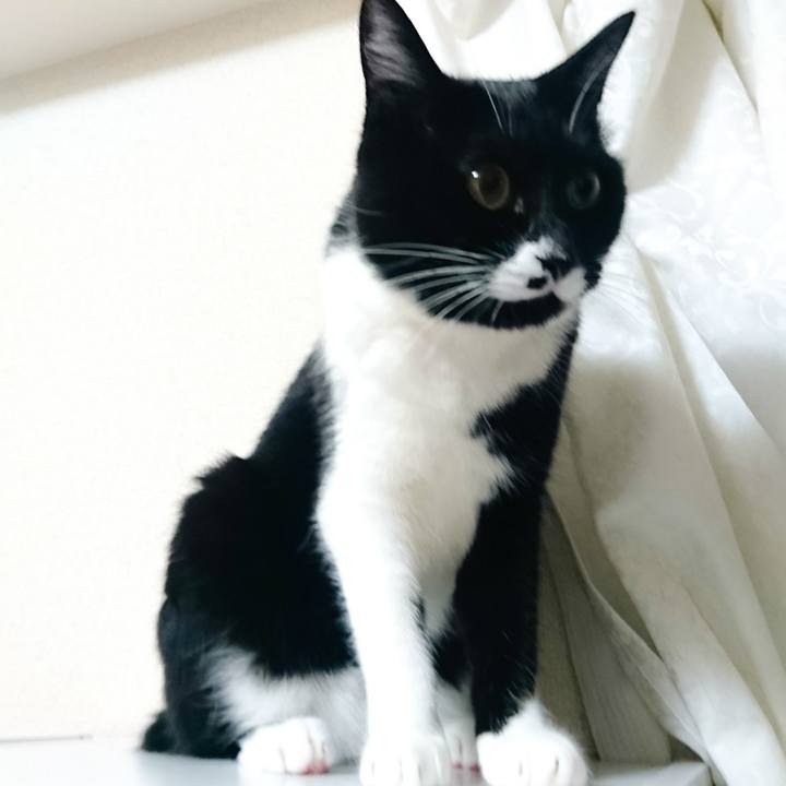 97b7a24d 950c 4fef 89dd 8ef510f80d44