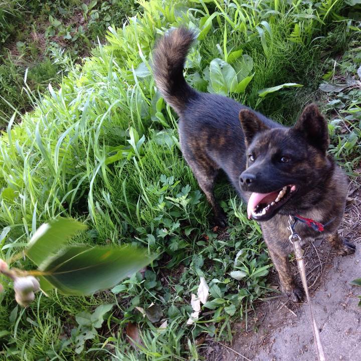 97b7d613 2cd2 411c a737 e1ed0ca90492