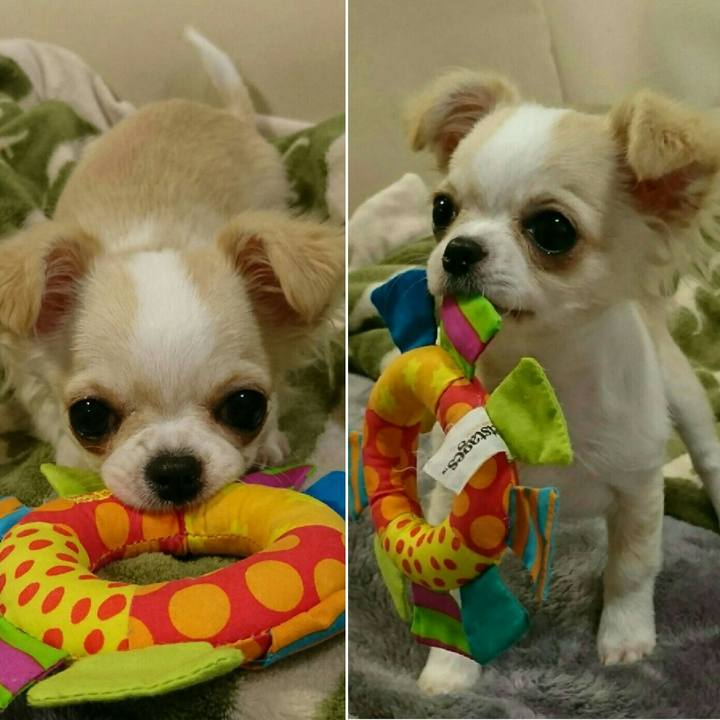 97b862e7 2b1a 4e2b a4da 65c936d87f93