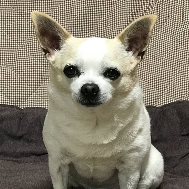 97b8e6f7 7f31 4cfc 9de0 058488eff741