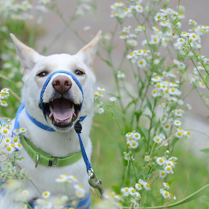 97b985f8 e725 4772 aa6b 1b39fae807fa