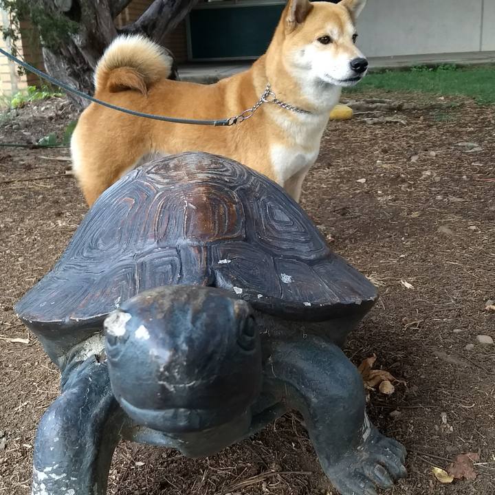 97ba8cb1 0457 4bfa b912 39051d0fddfb